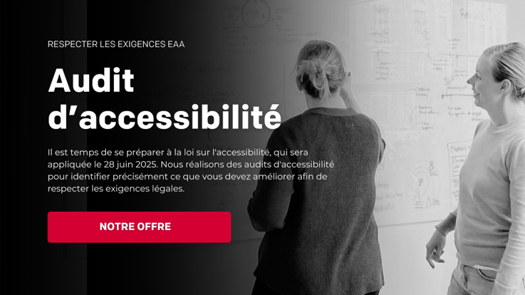 Accessibilty Audit FR